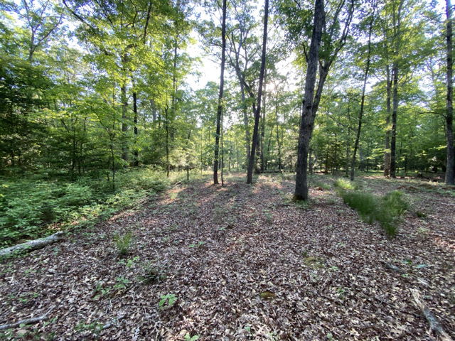 Thumbnail 20