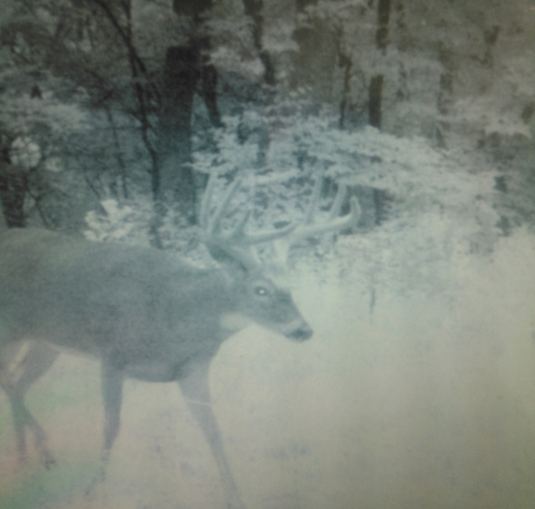 Thumbnail 12
