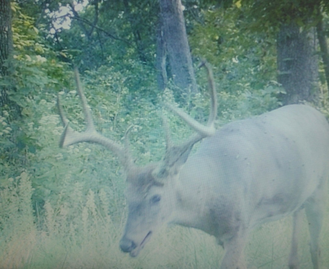 Thumbnail 13