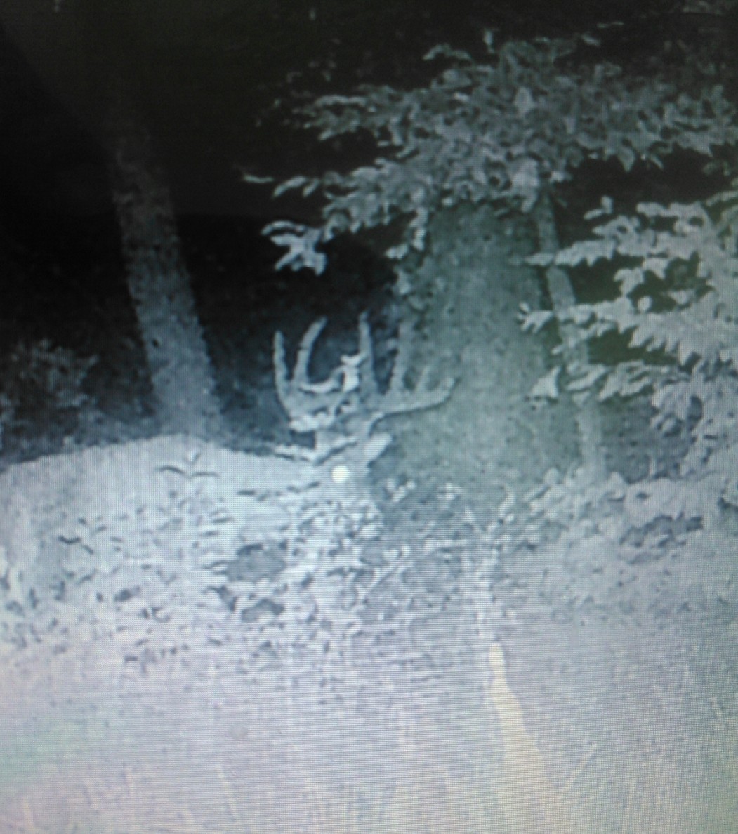 Thumbnail 14
