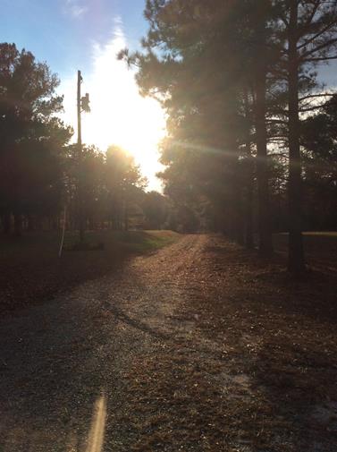 Thumbnail 13