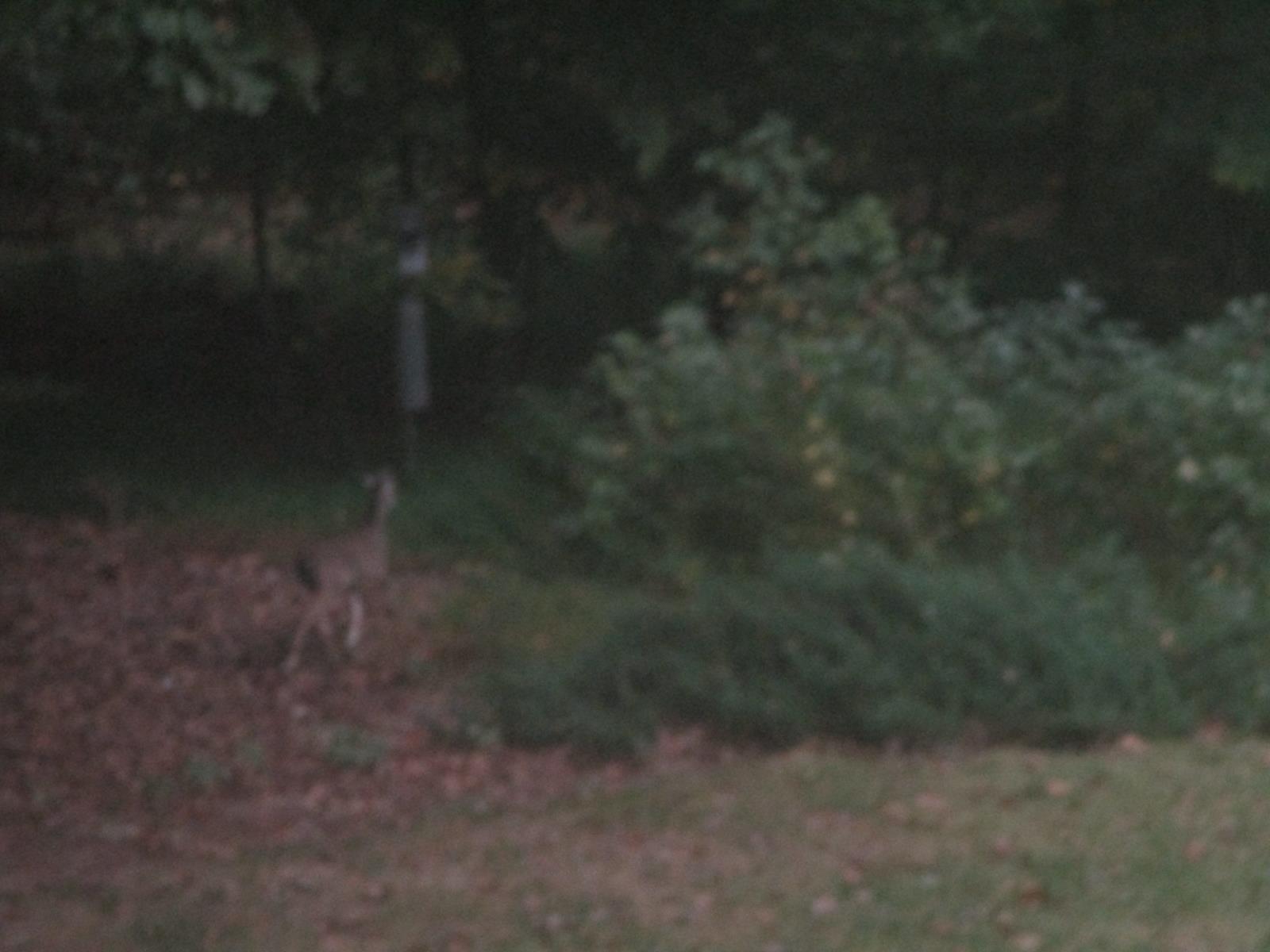 Thumbnail 33